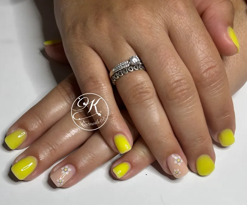 Réalisation Katnails66 7